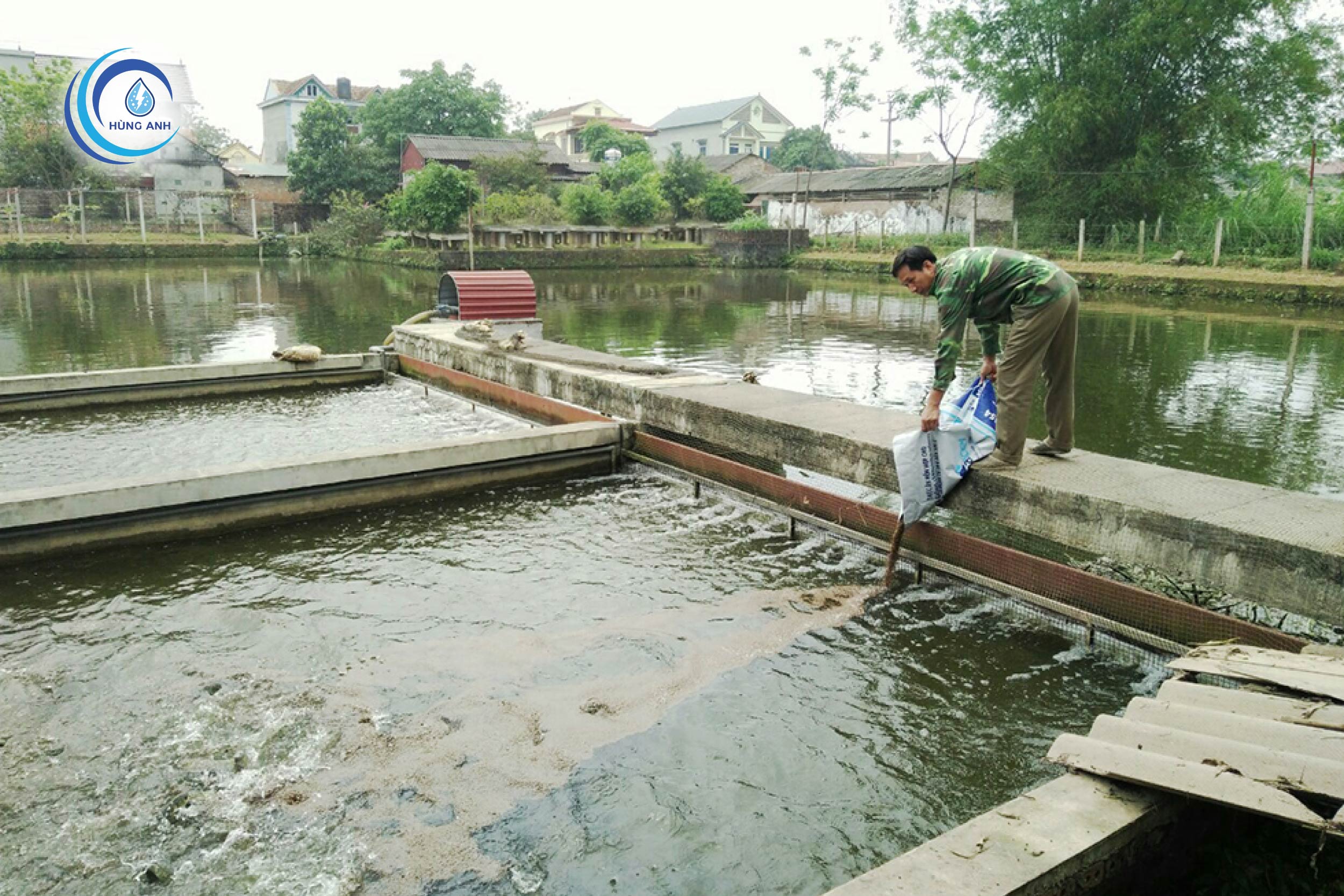 Ao nuôi thủy sản truyền thống 