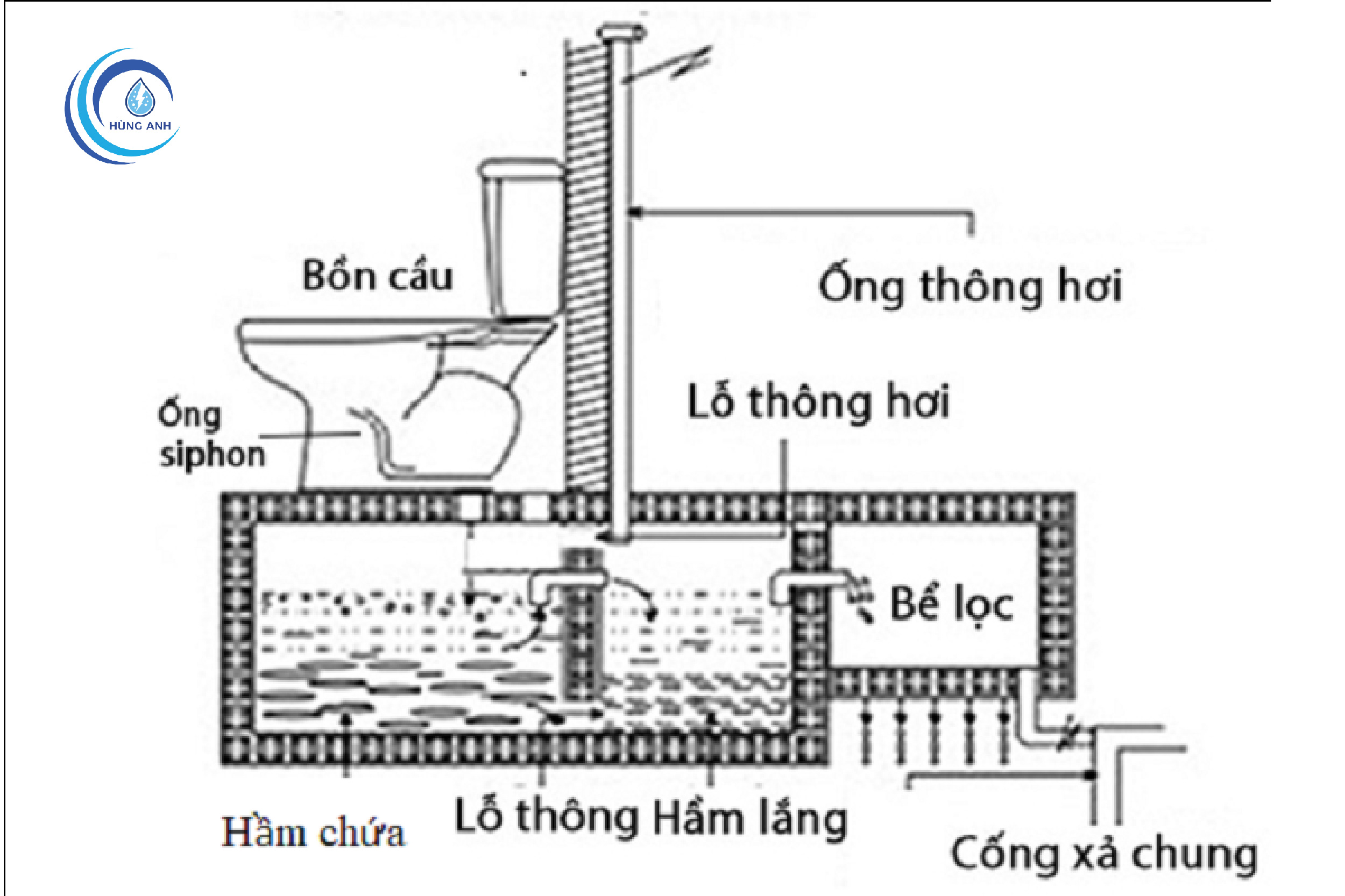 Hệ thống ống hơi