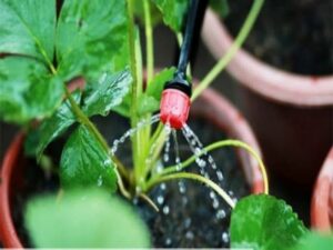 Hệ Thống Tưới Nước Tự Chế