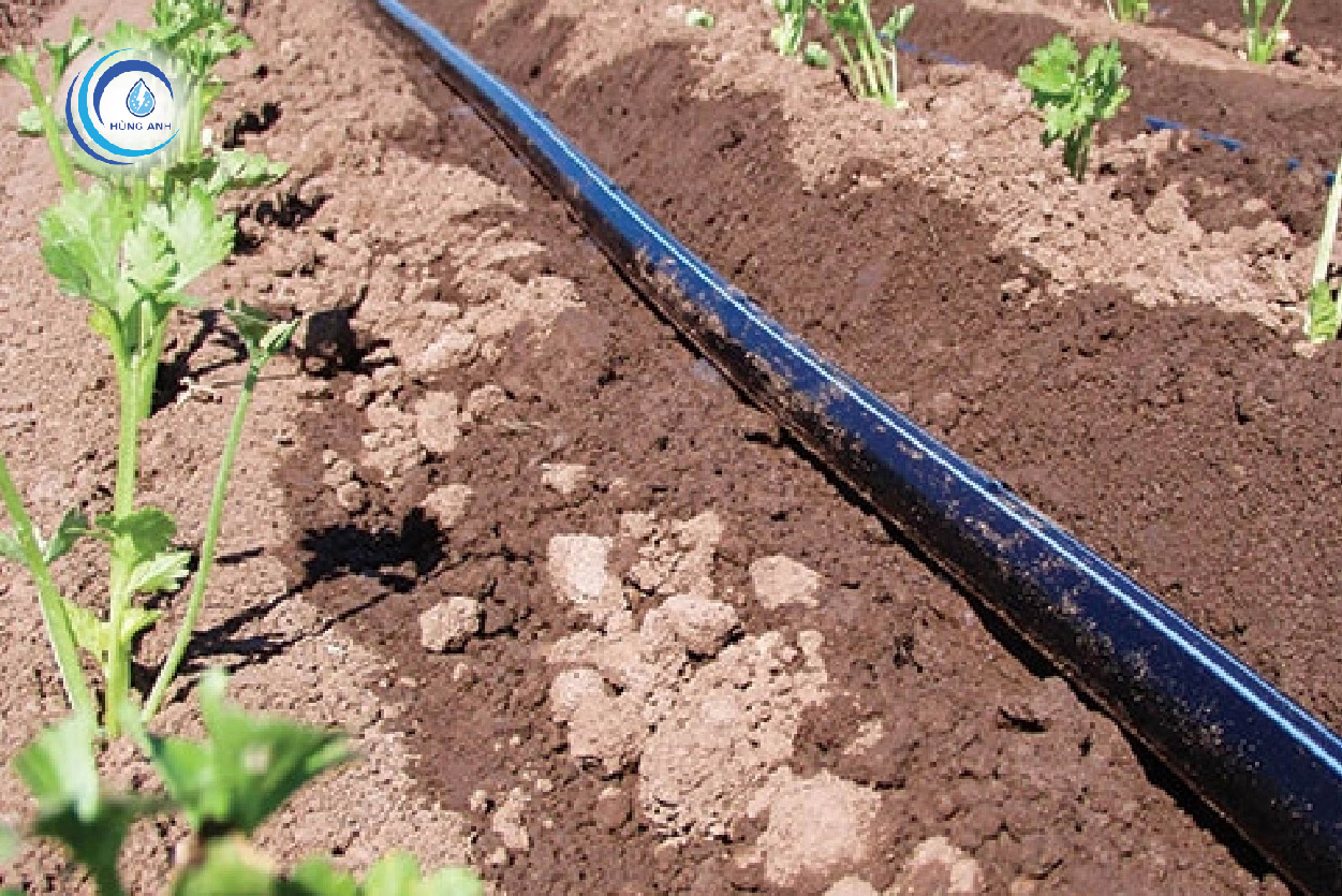 Ống HDPE trong nông nghiệp