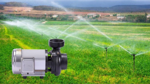 hệ thống máy bơm nước tưới cây bằng béc